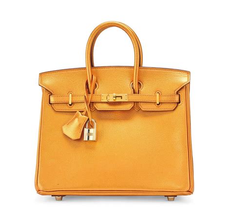 hermes bags birkin|Hermes Birkin Bag most expensive.